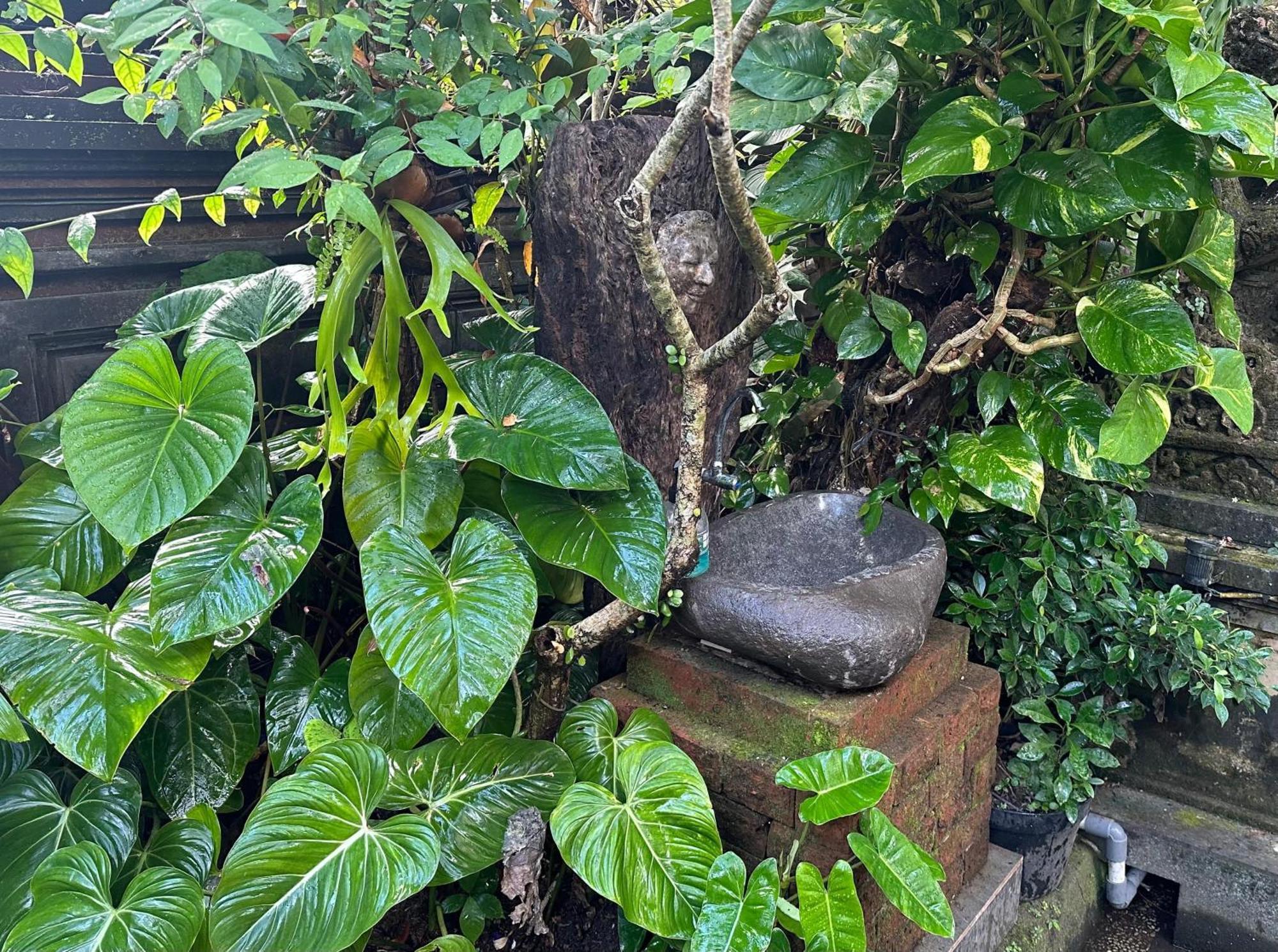 Naeera Guest House Ubud  Exterior photo