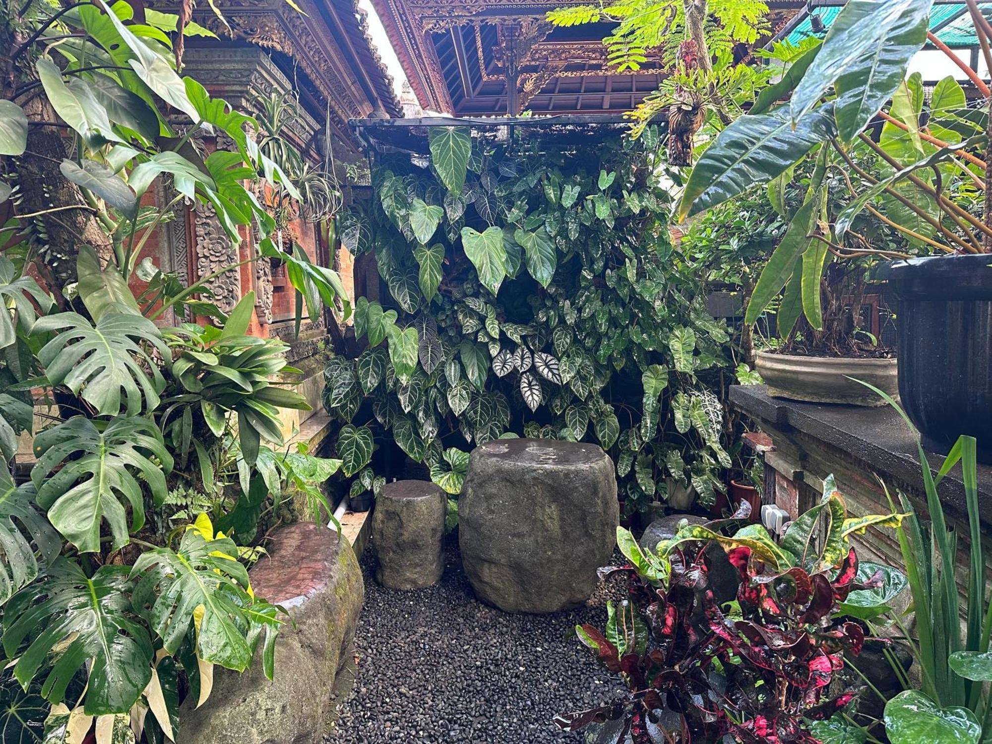 Naeera Guest House Ubud  Exterior photo
