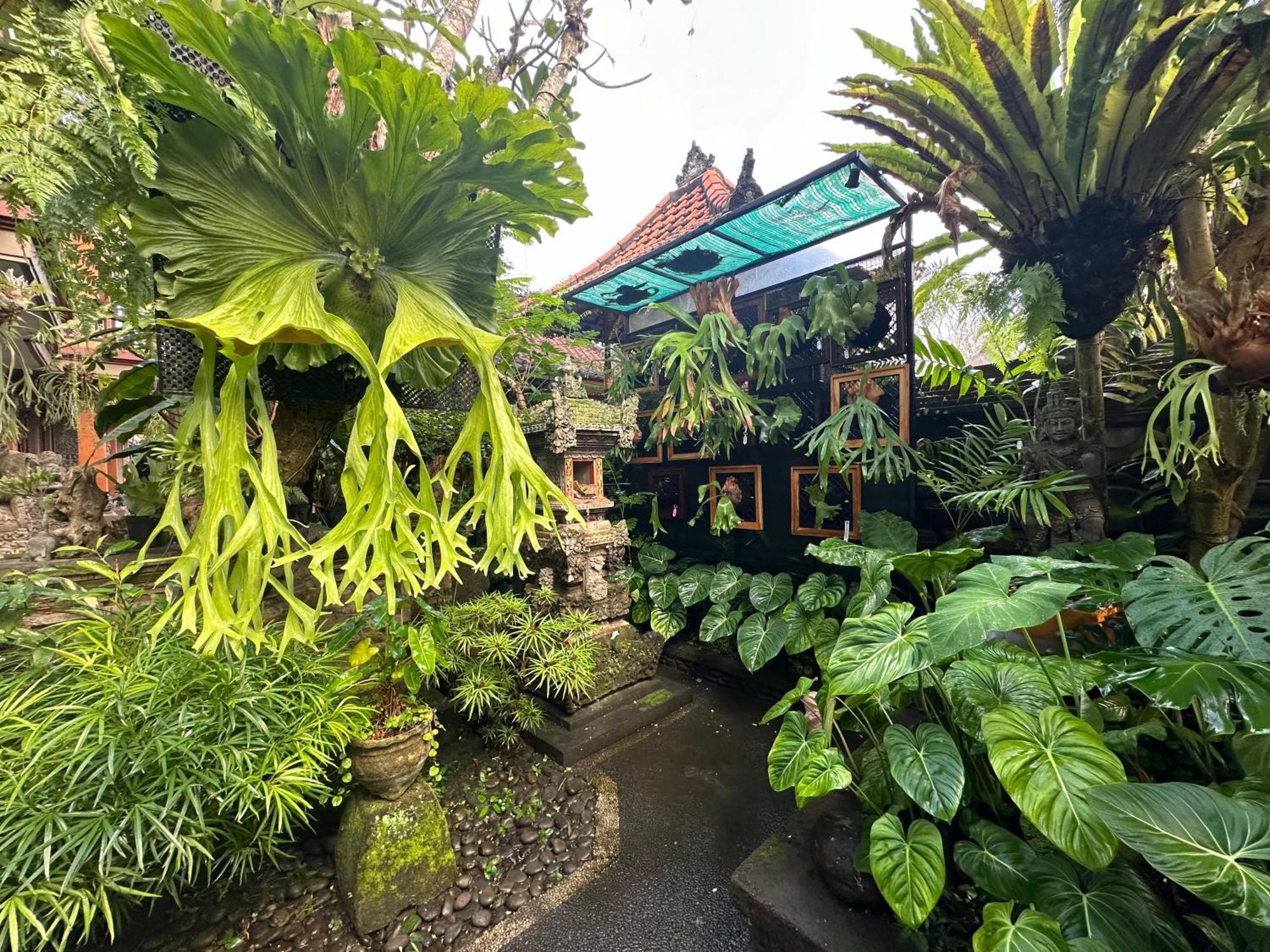 Naeera Guest House Ubud  Exterior photo